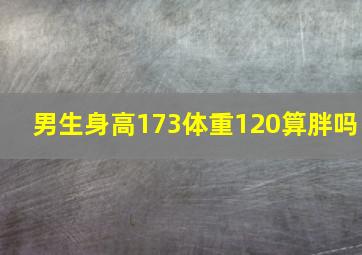 男生身高173体重120算胖吗