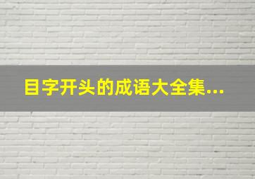 目字开头的成语大全集...