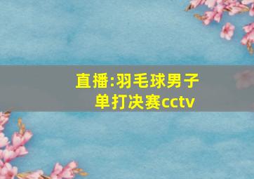 直播:羽毛球男子单打决赛cctv