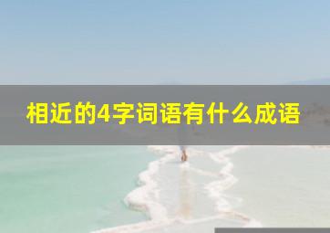 相近的4字词语有什么成语