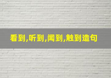 看到,听到,闻到,触到造句