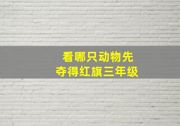 看哪只动物先夺得红旗三年级