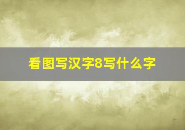 看图写汉字8写什么字