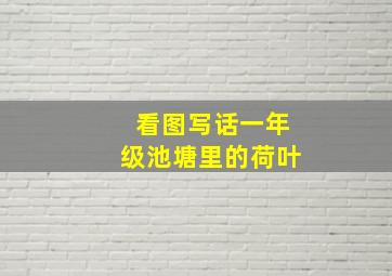 看图写话一年级池塘里的荷叶