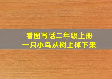 看图写话二年级上册一只小鸟从树上掉下来