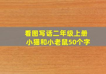 看图写话二年级上册小猫和小老鼠50个字