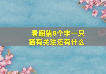 看图猜8个字一只猫有关注还有什么