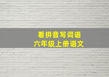 看拼音写词语六年级上册语文