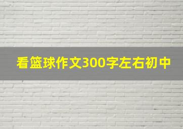 看篮球作文300字左右初中