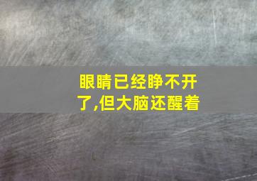 眼睛已经睁不开了,但大脑还醒着