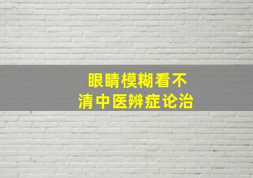 眼睛模糊看不清中医辨症论治