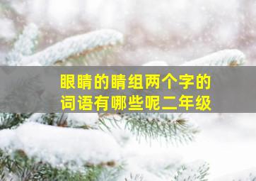 眼睛的睛组两个字的词语有哪些呢二年级