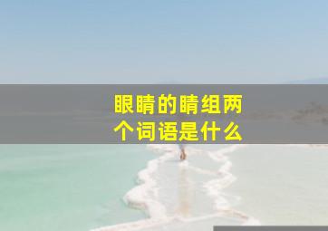 眼睛的睛组两个词语是什么