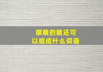 眼睛的睛还可以组成什么词语