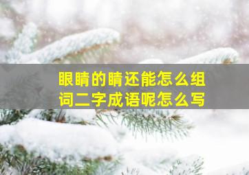 眼睛的睛还能怎么组词二字成语呢怎么写