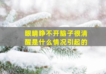 眼睛睁不开脑子很清醒是什么情况引起的