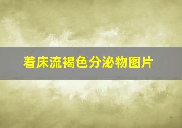 着床流褐色分泌物图片