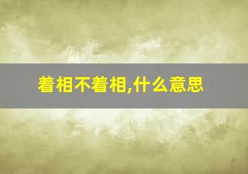 着相不着相,什么意思