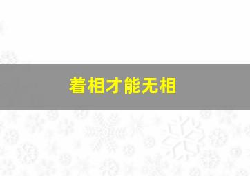 着相才能无相