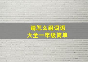 睛怎么组词语大全一年级简单