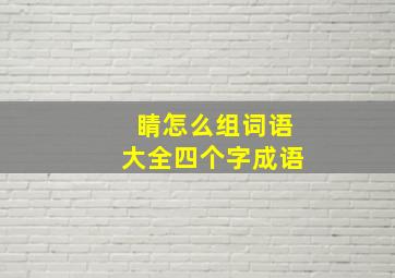 睛怎么组词语大全四个字成语