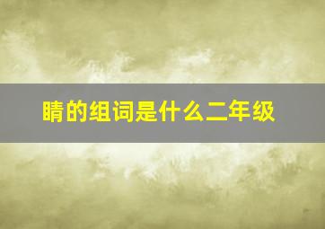 睛的组词是什么二年级