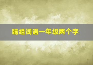 睛组词语一年级两个字