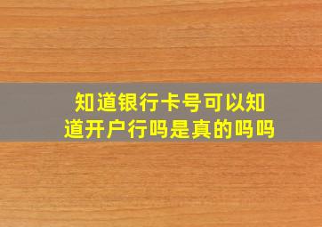 知道银行卡号可以知道开户行吗是真的吗吗