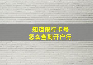 知道银行卡号怎么查到开户行