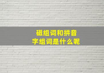 磁组词和拼音字组词是什么呢