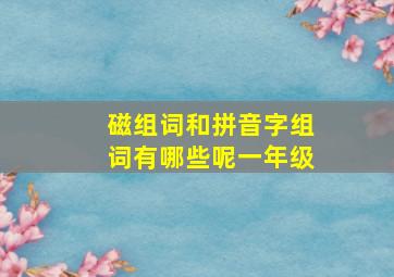 磁组词和拼音字组词有哪些呢一年级