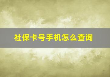 社保卡号手机怎么查询