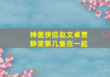 神医侠侣赵文卓贾静雯第几集在一起