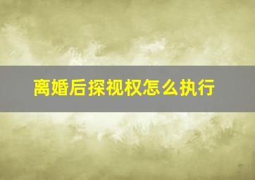 离婚后探视权怎么执行