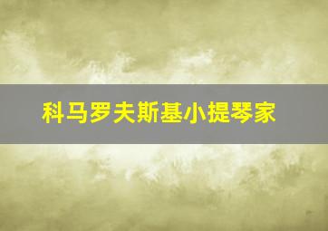 科马罗夫斯基小提琴家