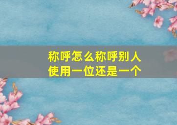 称呼怎么称呼别人使用一位还是一个