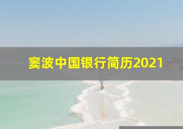 窦波中国银行简历2021