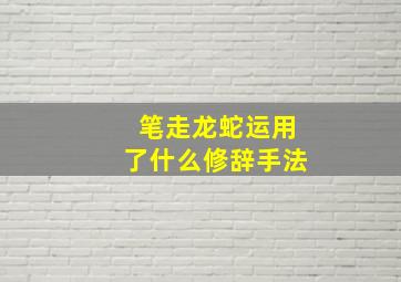 笔走龙蛇运用了什么修辞手法