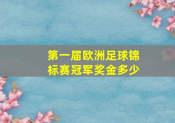 第一届欧洲足球锦标赛冠军奖金多少