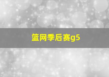 篮网季后赛g5