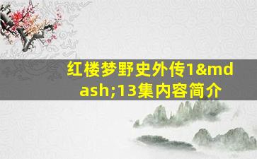 红楼梦野史外传1—13集内容简介