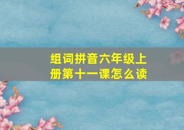 组词拼音六年级上册第十一课怎么读