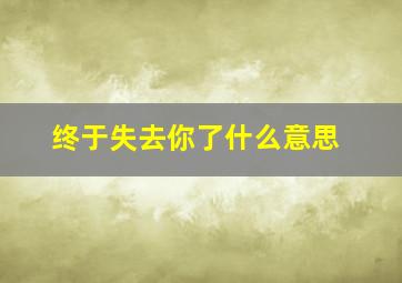 终于失去你了什么意思