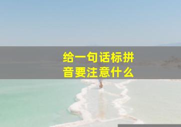 给一句话标拼音要注意什么