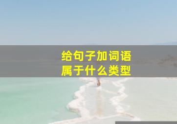 给句子加词语属于什么类型