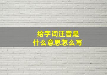 给字词注音是什么意思怎么写