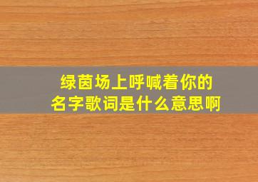 绿茵场上呼喊着你的名字歌词是什么意思啊