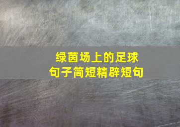 绿茵场上的足球句子简短精辟短句