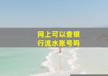 网上可以查银行流水账号吗