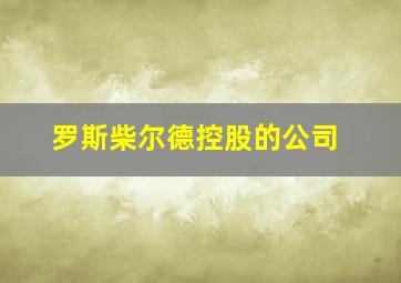 罗斯柴尔德控股的公司